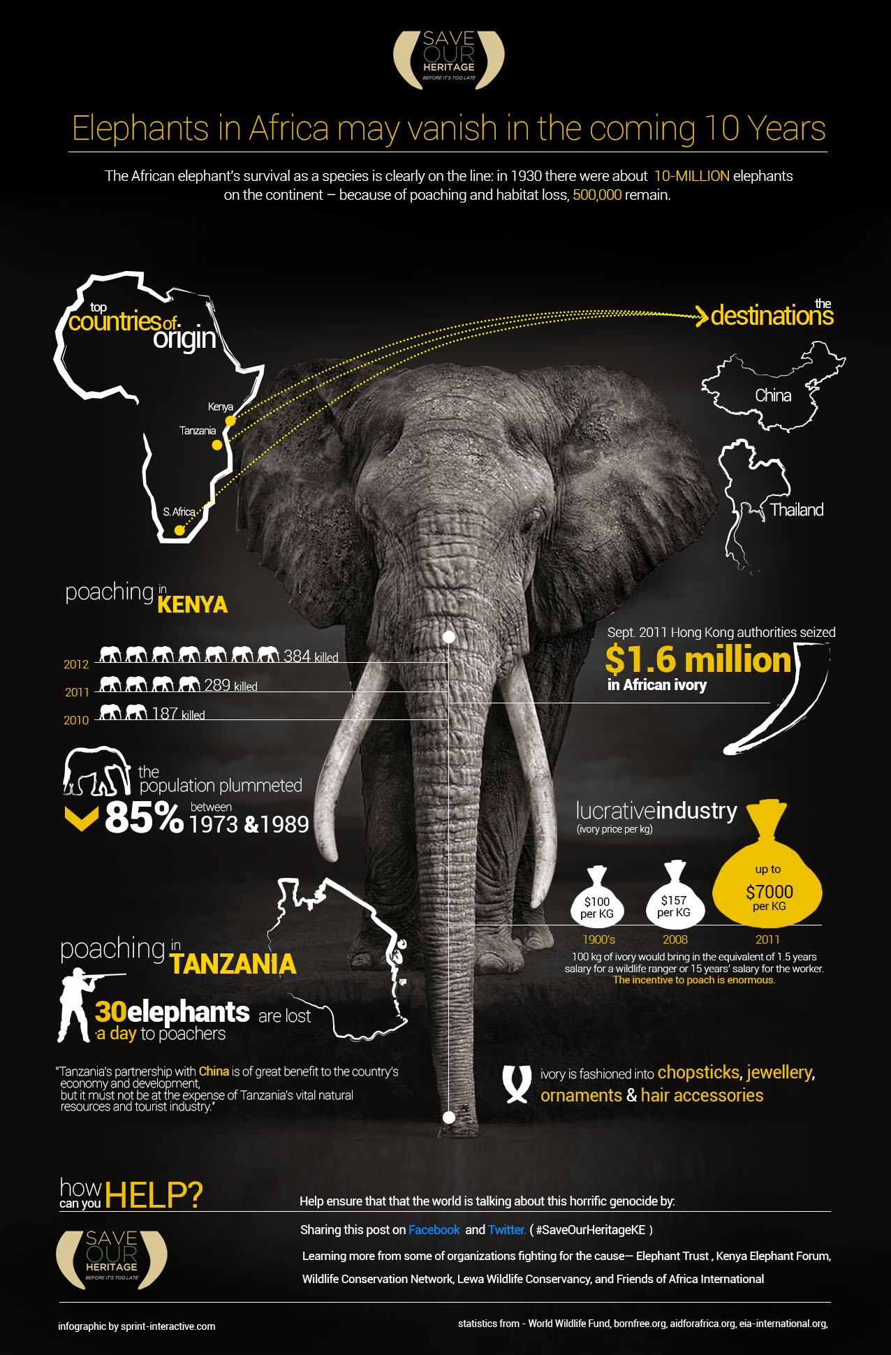 elephant poaching facts
